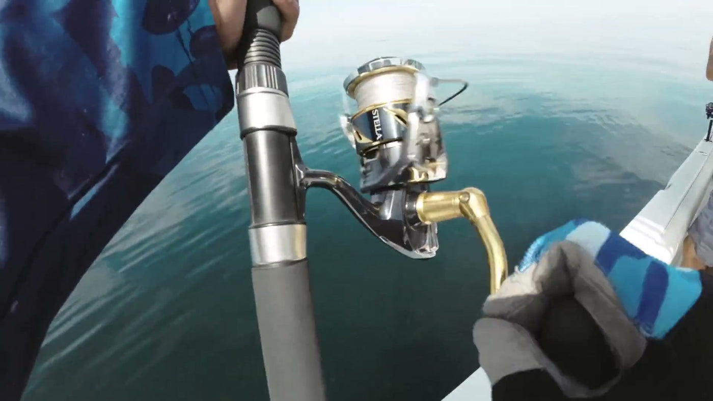 A Shimano Stella spinning reel over calm Arabian Gulf water, ready for a live-bait drift