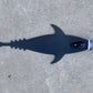 Grander Marlin Tackle Medium Blunt Cut D-Flap Teaser
