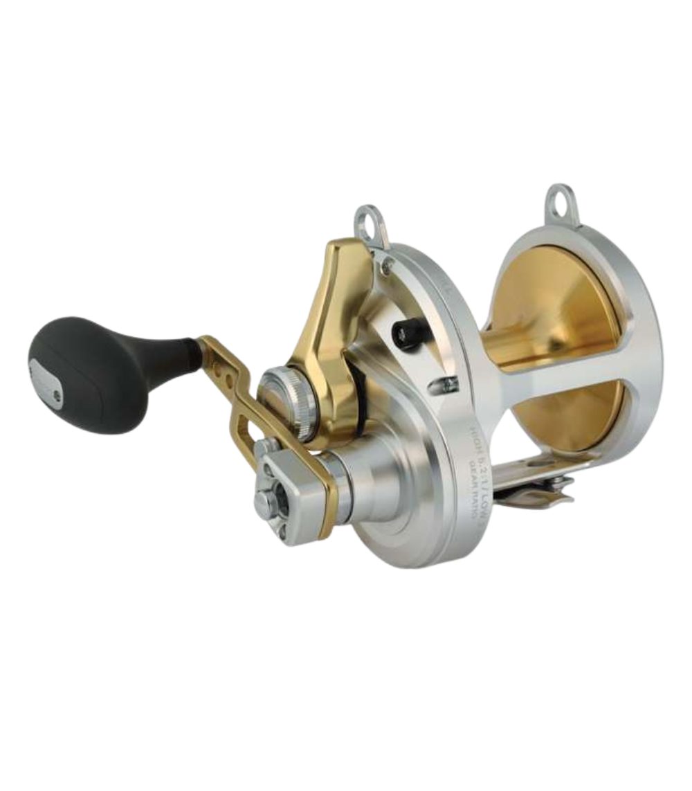 Shimano Talica 2-Speed Lever Drag - Conventional Reel - TAC25II CAM