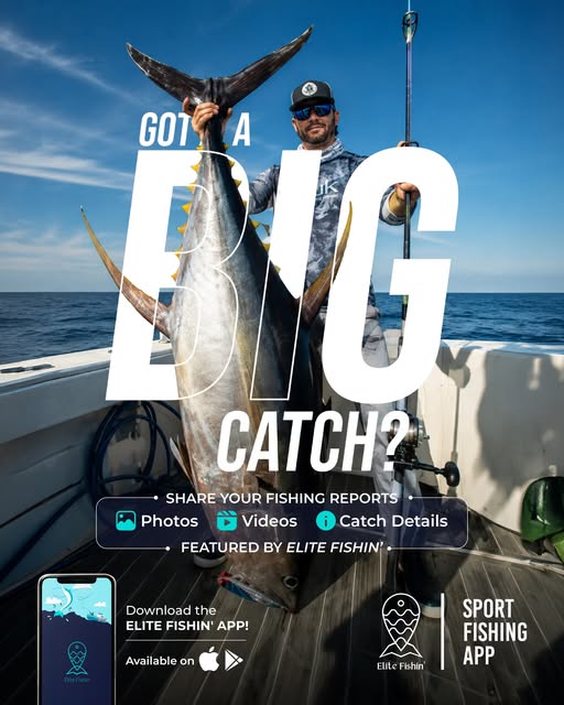 Elite Fishin' post, 14 September 2026
